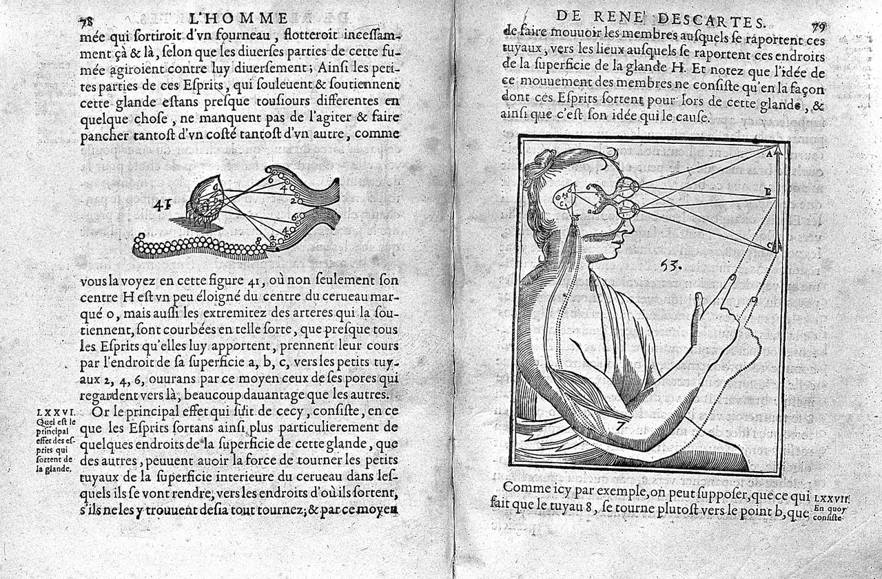 An open book showing two printed pages of L'Homme with two figures set into the text, one of the brain's gland and one of a figure pointing at an arrow.