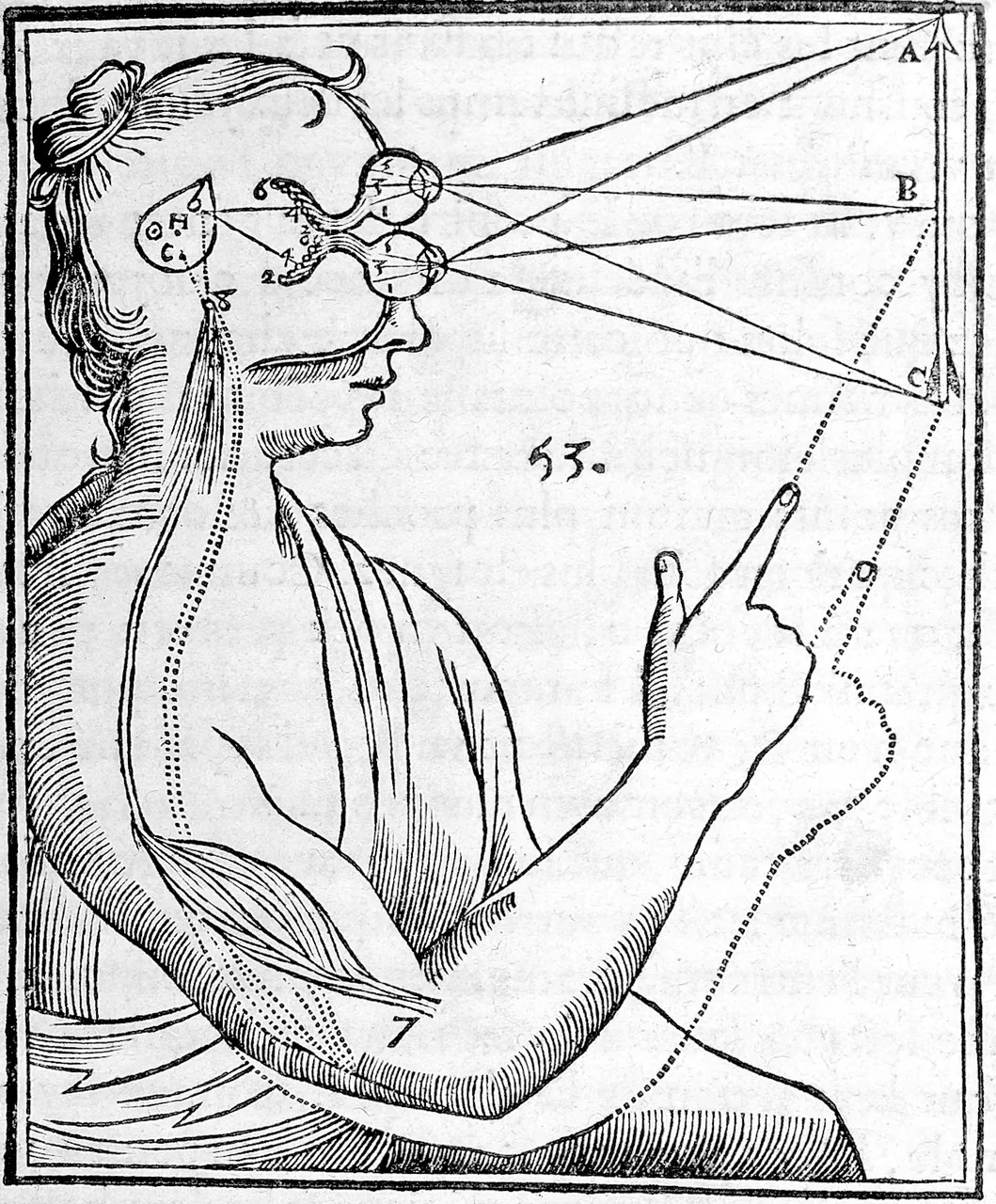 A woodcut of a figure whose head is opened to show lines running from an arrow, through both eyes, to a small gland in the brain, and on to the hand that points at the arrow.
