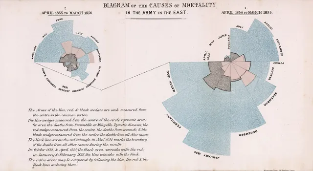 Two rose-shaped polar charts in pale blue, pink and black, each wedge a month of deaths, joined by a dotted line, with explanatory text below.
