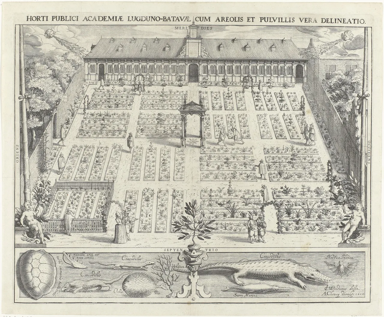 An engraving of the Leiden university garden in 1610, laid out in many rectangular beds of plants with visitors walking between them and a gallery building behind.